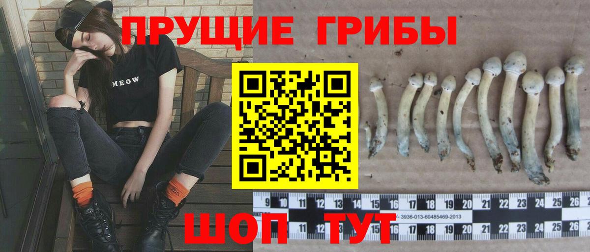 Псилоцибиновые грибы Cubensis Краснокамск
